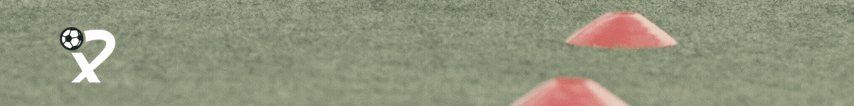 spot_img