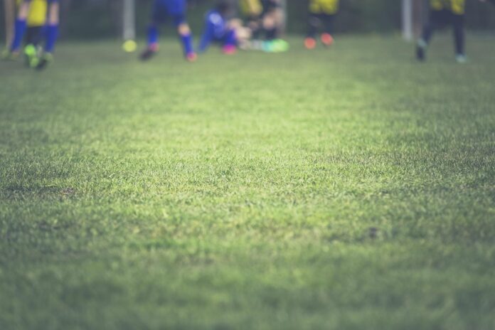 Stipendi in Serie D