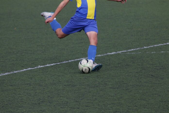 Borgaro Nobis in Serie D