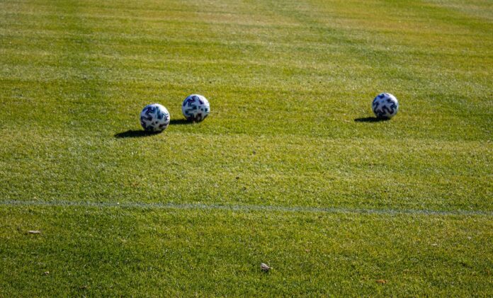 Liguria in Serie D