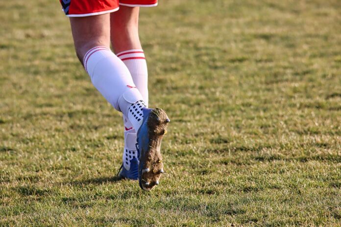 Varese Calcio in Serie D