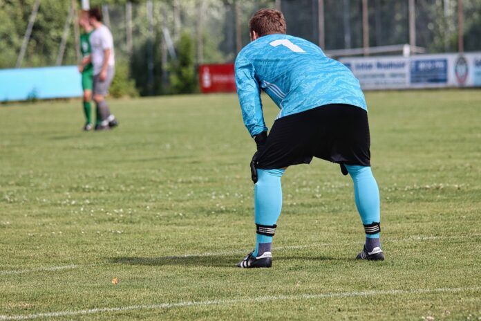 Treviso in Serie D