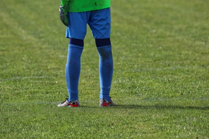 Manfredonia in Serie D