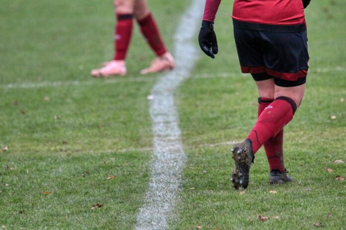 Luparense in Serie D Luparense in Serie D