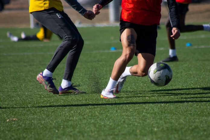 Palmese 1914 in Serie D