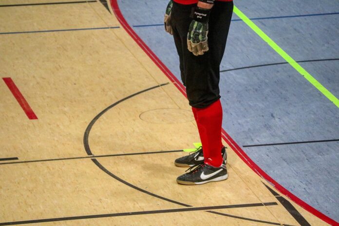 UEFA Champions League Futsal,