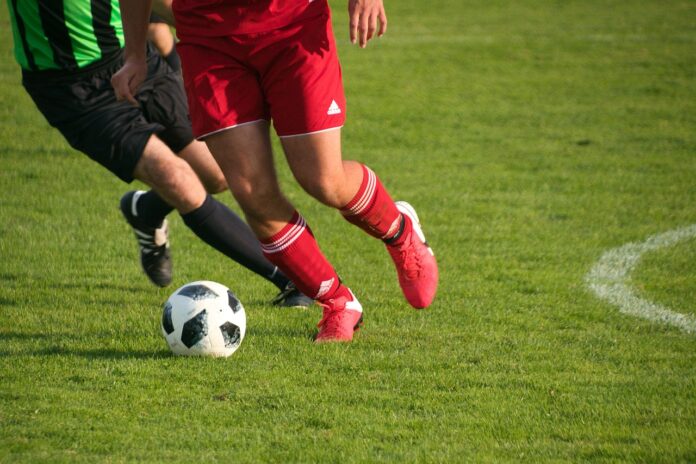 Trevigliese in Serie D