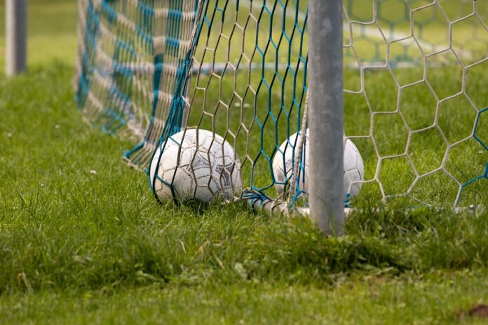 Coppa Dao Conad in Trentino