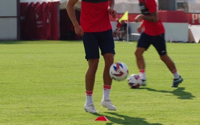 Serie D - Calcio dilettantistico - Lnd